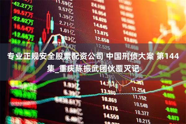 专业正规安全股票配资公司 中国刑侦大案 第144集_重庆陈振武团伙覆灭记